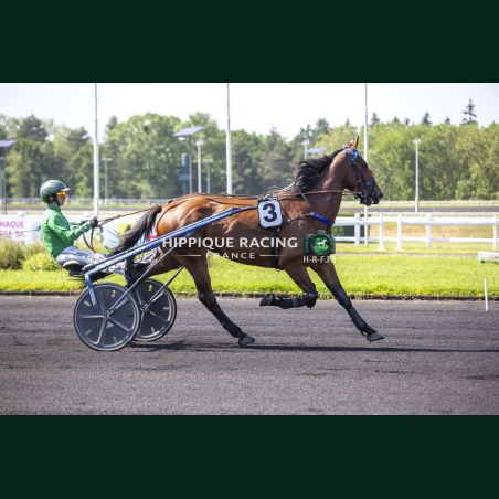 Heat Course 3 26/05/2026 - photos course hippodrome paris vincennes...