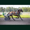 Heat Course 3 26/05/2026 - photos course hippodrome paris vincennes...