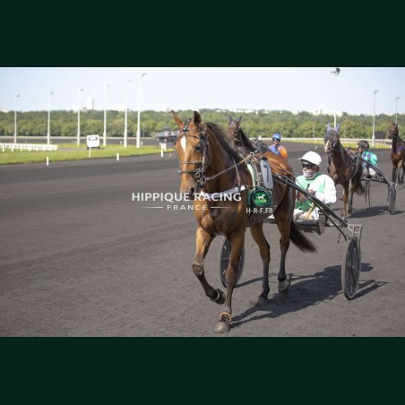 Course 3 26/05/2026 - photos course hippodrome paris vincennes trot