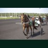 Course 3 26/05/2026 - photos course hippodrome paris vincennes trot