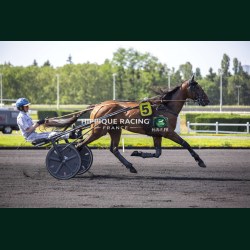 Heat Course 4 26/05/2026 - photos course hippodrome paris vincennes...