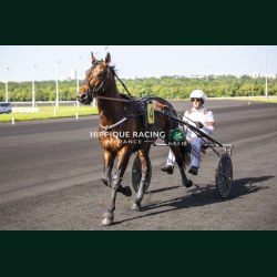 Course 4 26/05/2026 - photos course hippodrome paris vincennes trot