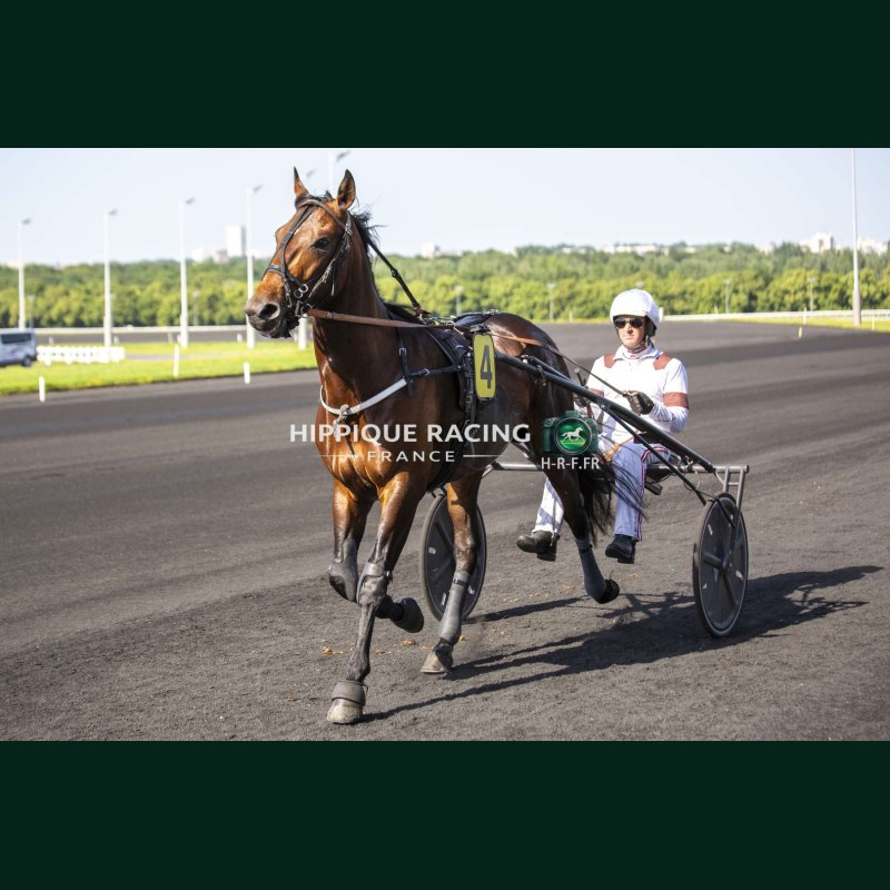 Course 4 26/05/2026 - photos course hippodrome paris vincennes trot