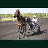 Course 4 26/05/2026 - photos course hippodrome paris vincennes trot