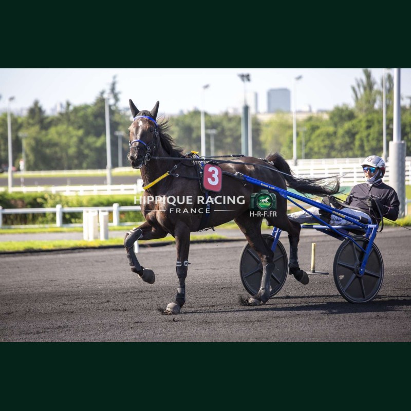 Heat Course 5 26/05/2026 - photos course hippodrome paris vincennes...
