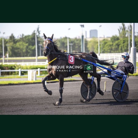 Heat Course 5 26/05/2026 - photos course hippodrome paris vincennes...