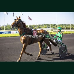 Course 5 26/05/2026 - photos course hippodrome paris vincennes trot