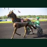 Course 5 26/05/2026 - photos course hippodrome paris vincennes trot