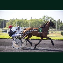 Heat Course 6 26/05/2026 - photos course hippodrome paris vincennes...