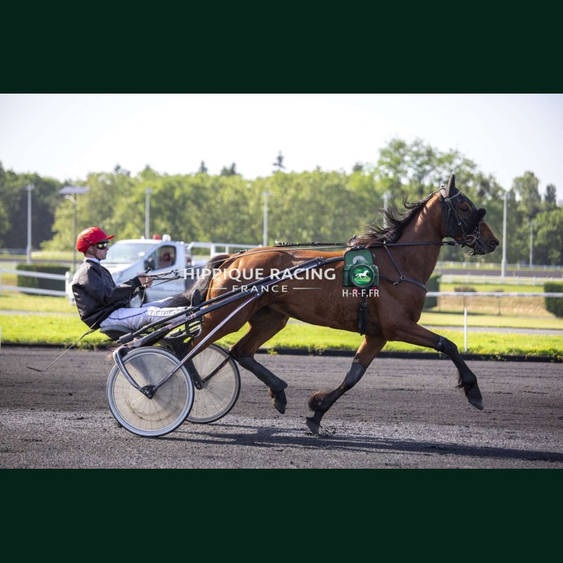 Heat Course 6 26/05/2026 - photos course hippodrome paris vincennes...