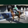 Course 6 26/05/2026 - photos course hippodrome paris vincennes trot