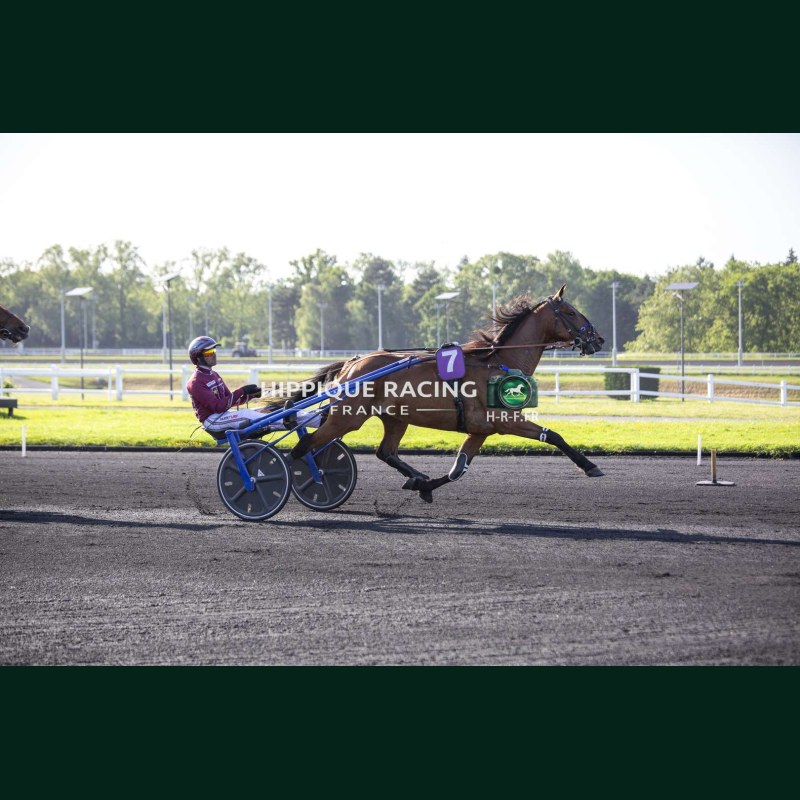 Heat Course 7 26/05/2026 - photos course hippodrome paris vincennes...