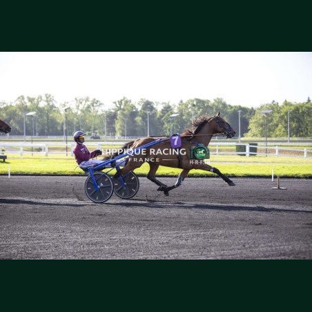 Heat Course 7 26/05/2026 - photos course hippodrome paris vincennes...