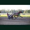 Heat Course 7 26/05/2026 - photos course hippodrome paris vincennes...