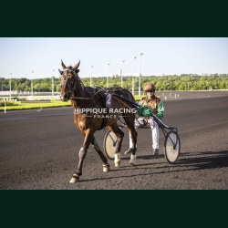 Course 7 26/05/2026 - photos course hippodrome paris vincennes trot