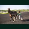 Course 7 26/05/2026 - photos course hippodrome paris vincennes trot