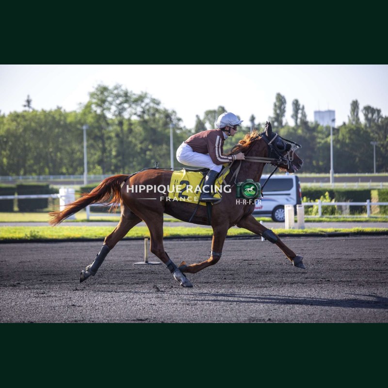 Heat Course 8 26/05/2026 - photos course hippodrome paris vincennes...