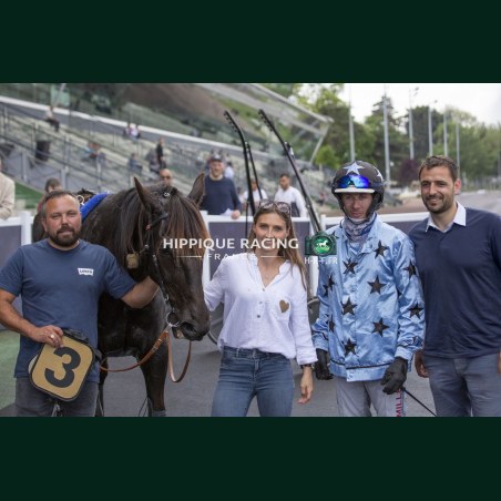 Course Henrique - photos course hippodrome paris vincennes trot