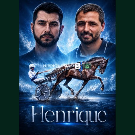 Photo Montage Henrique - photos course hippodrome paris vincennes trot