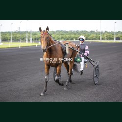 Course 1 29/05/2026 - photos course hippodrome paris vincennes trot