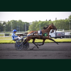 Heat Course 2 29/05/2026 - photos course hippodrome paris vincennes...
