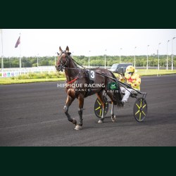 Course 2 29/05/2026 - photos course hippodrome paris vincennes trot