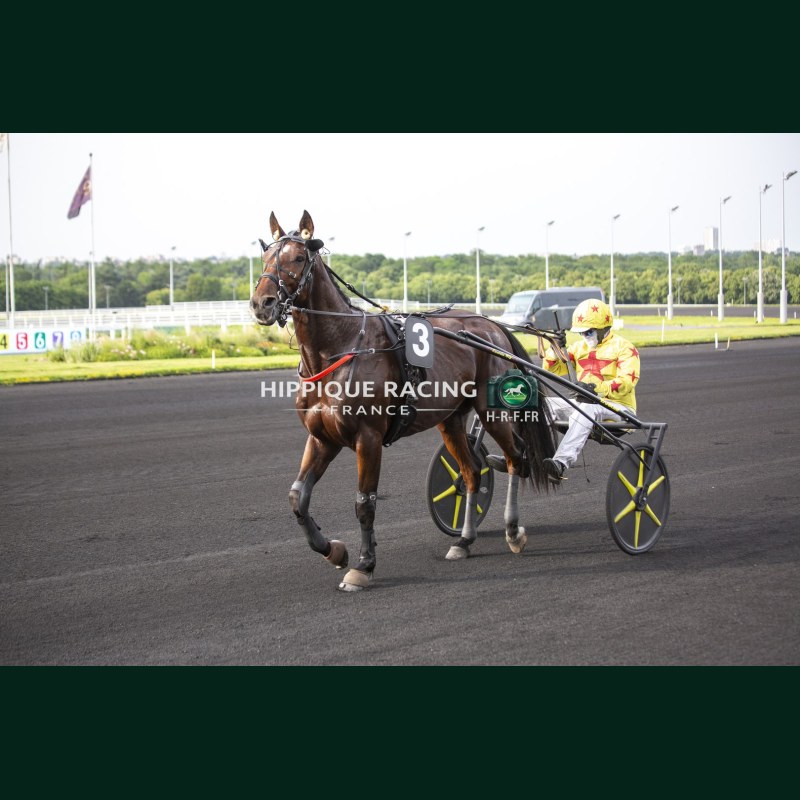 Course 2 29/05/2026 - photos course hippodrome paris vincennes trot