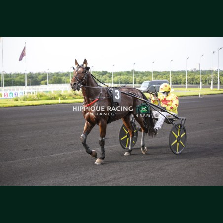 Course 2 29/05/2026 - photos course hippodrome paris vincennes trot