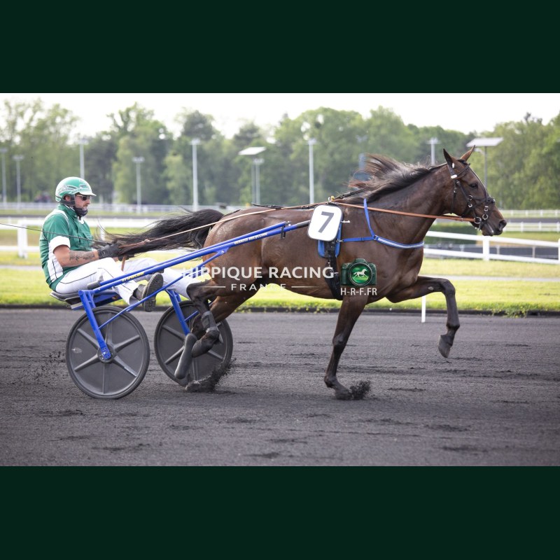 Heat Course 3 29/05/2026 - photos course hippodrome paris vincennes...