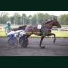 Heat Course 3 29/05/2026 - photos course hippodrome paris vincennes...