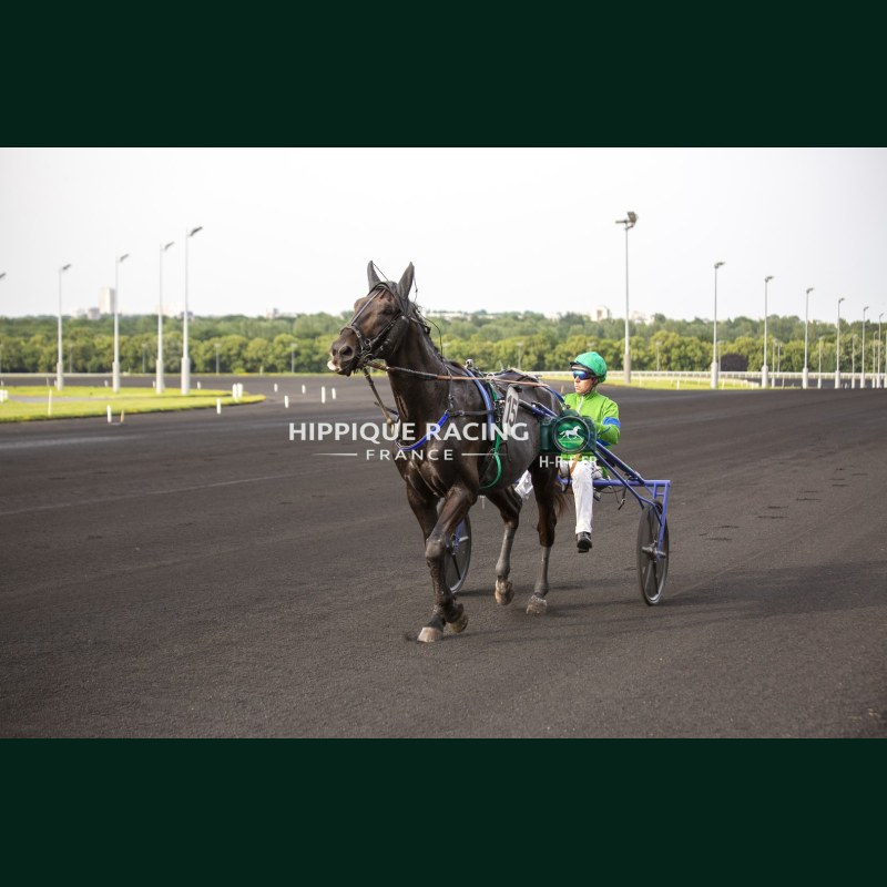 Course 3 29/05/2026 - photos course hippodrome paris vincennes trot