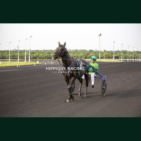 Course 3 29/05/2026 - photos course hippodrome paris vincennes trot