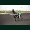 Course 3 29/05/2026 - photos course hippodrome paris vincennes trot