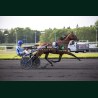 Heat Course 4 29/05/2026 - photos course hippodrome paris vincennes...