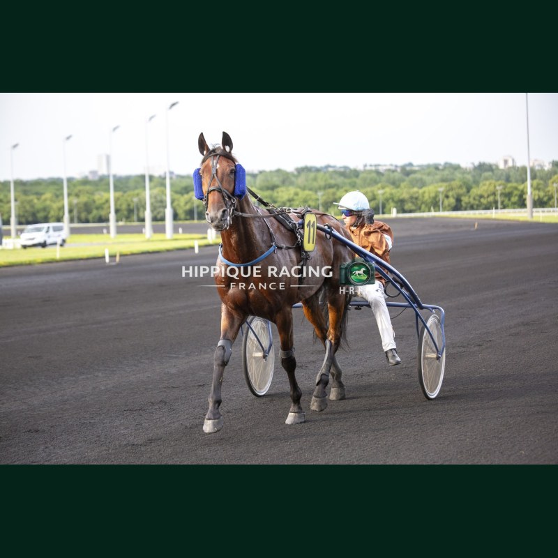 Course 4 29/05/2026 - photos course hippodrome paris vincennes trot