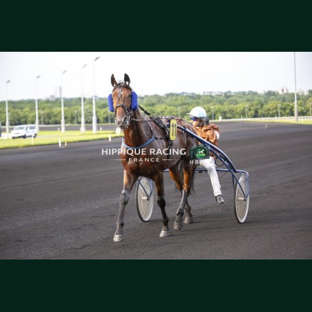 Course 4 29/05/2026 - photos course hippodrome paris vincennes trot