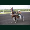 Course 4 29/05/2026 - photos course hippodrome paris vincennes trot