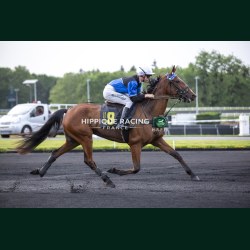 Heat Course 5 29/05/2026 - photos course hippodrome paris vincennes...