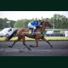 Heat Course 5 29/05/2026 - photos course hippodrome paris vincennes...