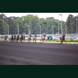 Course 5 29/05/2026 - photos course hippodrome paris vincennes trot