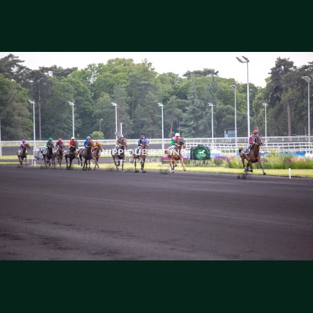 Course 5 29/05/2026 - photos course hippodrome paris vincennes trot