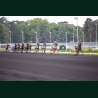 Course 5 29/05/2026 - photos course hippodrome paris vincennes trot