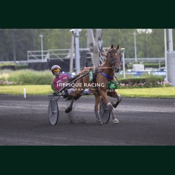 Heat Course 6 29/05/2026 - photos course hippodrome paris vincennes...