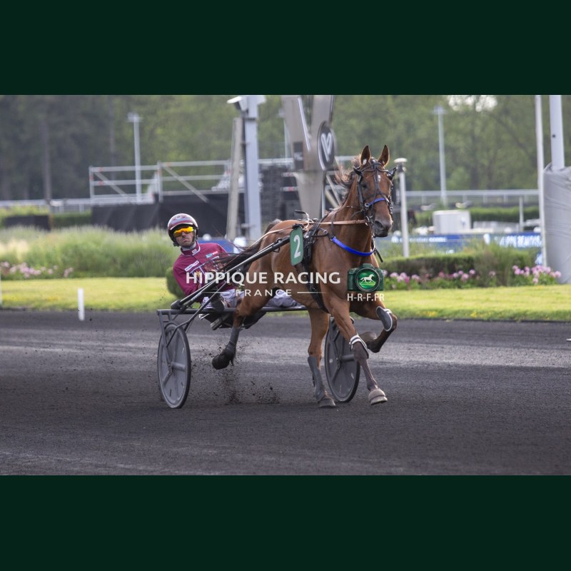 Heat Course 6 29/05/2026 - photos course hippodrome paris vincennes...