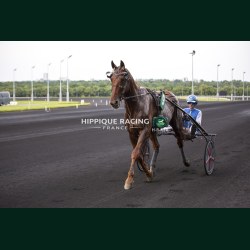 Course 6 29/05/2026 - photos course hippodrome paris vincennes trot