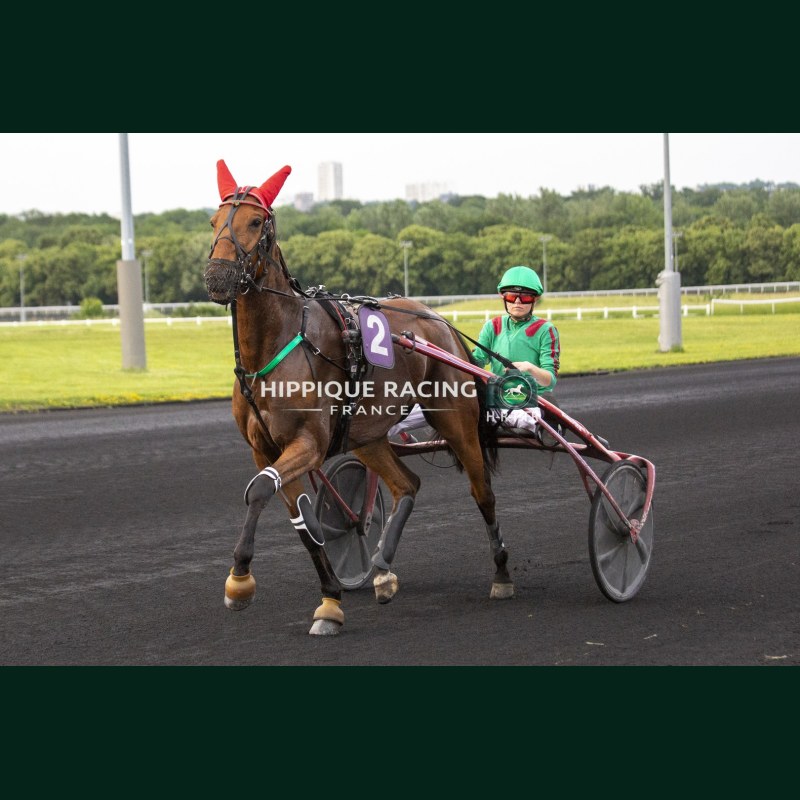 Heat Course 7 29/05/2026 - photos course hippodrome paris vincennes...