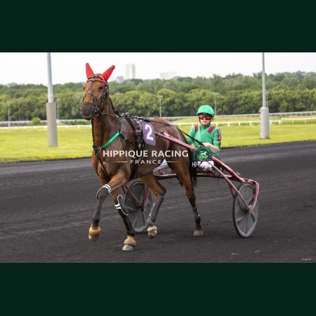 Heat Course 7 29/05/2026 - photos course hippodrome paris vincennes...