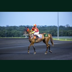 Course 7 29/05/2026 - photos course hippodrome paris vincennes trot