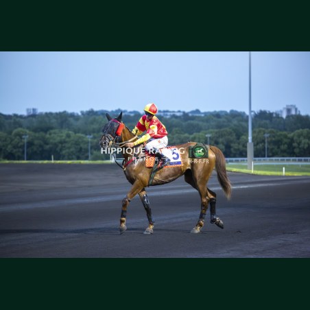 Course 7 29/05/2026 - photos course hippodrome paris vincennes trot