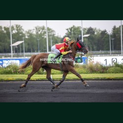 Heat Course 8 - photos course hippodrome paris vincennes trot